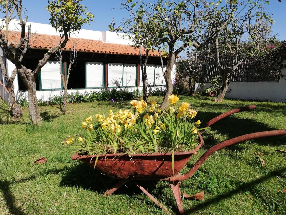 Casa Rural Limon Y Sol เซาซาล ภายนอก รูปภาพ