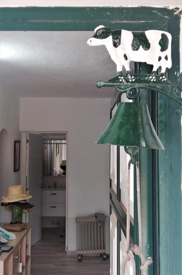 Casa Rural Limon Y Sol เซาซาล ภายนอก รูปภาพ