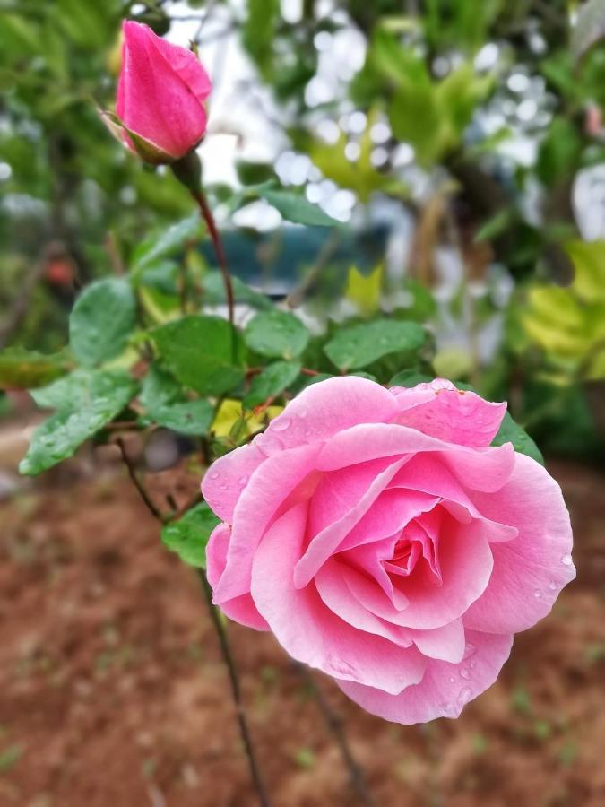 Casa Rural Limon Y Sol เซาซาล ภายนอก รูปภาพ